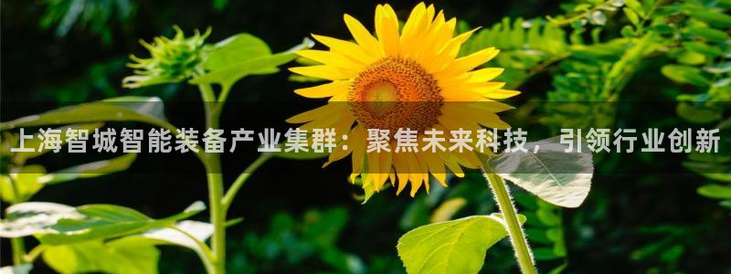 电子cq9辅助脚本