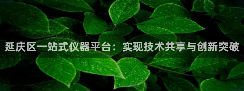 cq9电子游戏平台网站大全：延庆区一站式仪器平台：实现技术共