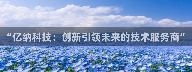 棋牌传奇电子cq9：“亿纳科技：创新引领未来的技术服务商”