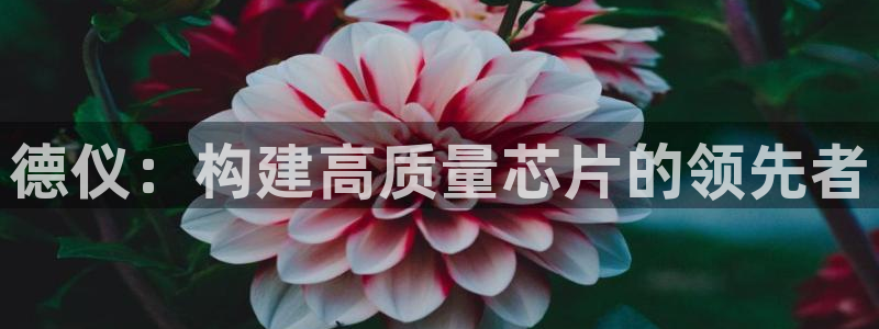 试玩电子cq9：德仪：构建高质量芯片的领先者