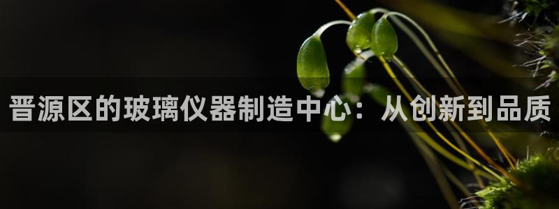 cq9电子放水时间：晋源区的玻璃仪器制造中心：从创新到品质