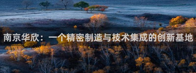 集电宝CQ9电子：南京华欣：一个精密制造与技术集成的创新基地