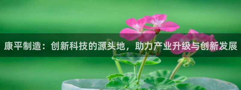 cq9电子手舞：康平制造：创新科技的源头地，助力产业升级与创