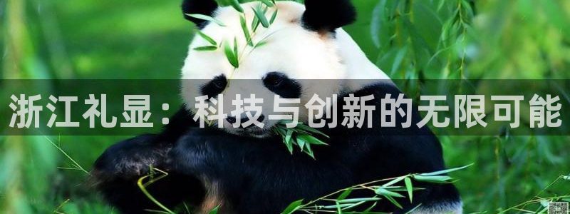 CQ9电子放cf66：浙江礼显：科技与创新的无限可能