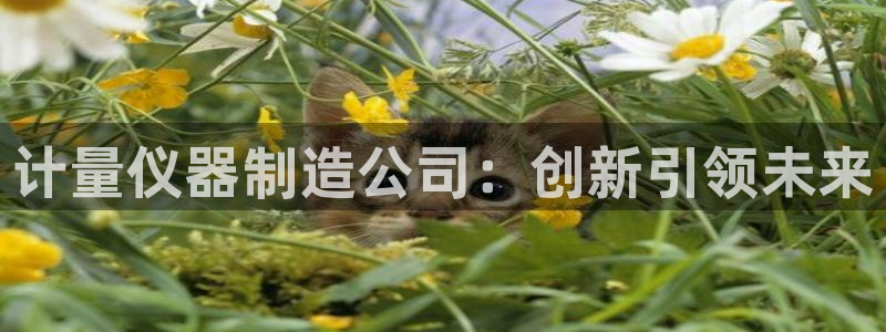 电子火神cq9：计量仪器制造公司：创新引领未来