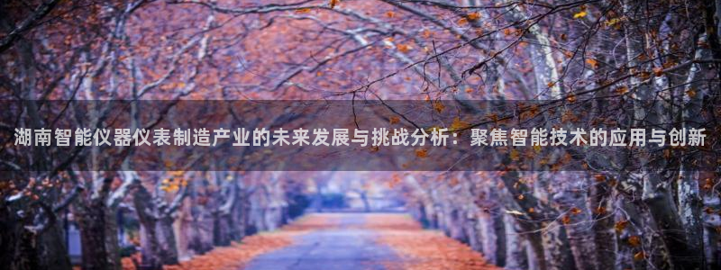 威尼斯CQ9电子：湖南智能仪器仪表制造产业的未来发展与挑战分