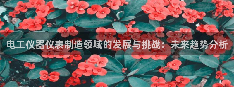 cq9电子爆分大奖：电工仪器仪表制造领域的发展与挑战：未来趋