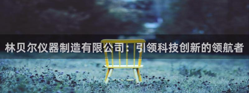 cq9电子都有哪些：林贝尔仪器制造有限公司：引领科技创新的领