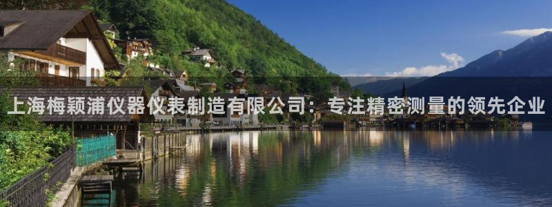 cq9电子负责人：上海梅颖浦仪器仪表制造有限公司：专注精密测