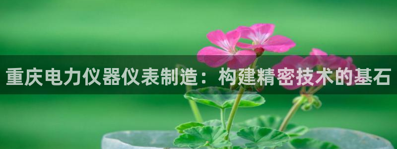 pg电子游戏cq9：重庆电力仪器仪表制造：构建精密技术的基石