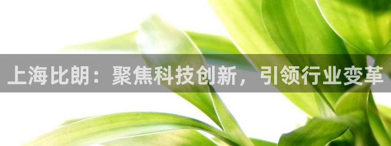 电子cq9精彩视频：上海比朗：聚焦科技创新，引领行业变革