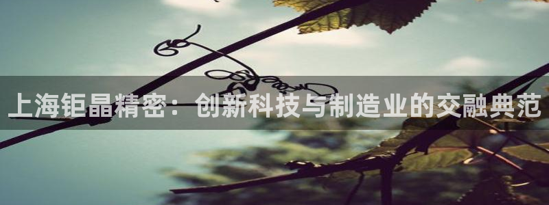 电子宙斯CQ9：上海钜晶精密：创新科技与制造业的交融典范