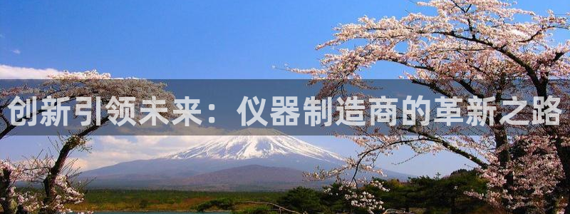 电子游艺平台排行cq9：创新引领未来：仪器制造商的革新之路