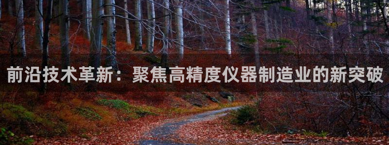 cq9电子聚宝盆：前沿技术革新：聚焦高精度仪器制造业的新突破