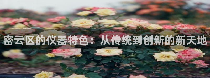 cq9电子官方网址：密云区的仪器特色：从传统到创新的新天地