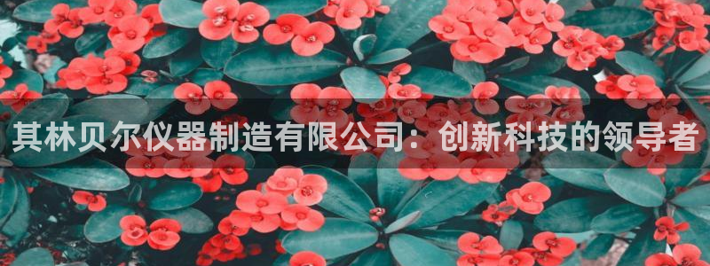 cq9电子诀窍：其林贝尔仪器制造有限公司：创新科技的领导者