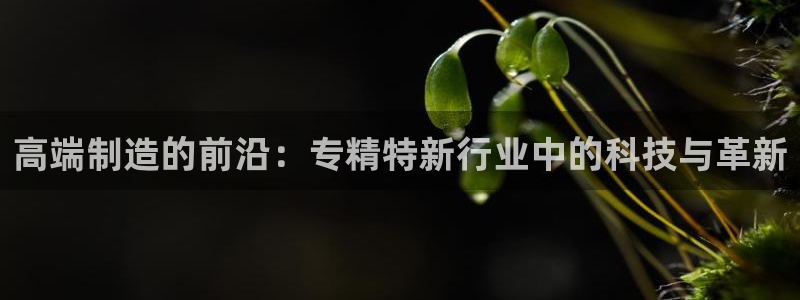 cq9电子哪吒再临：高端制造的前沿：专精特新行业中的科技与革