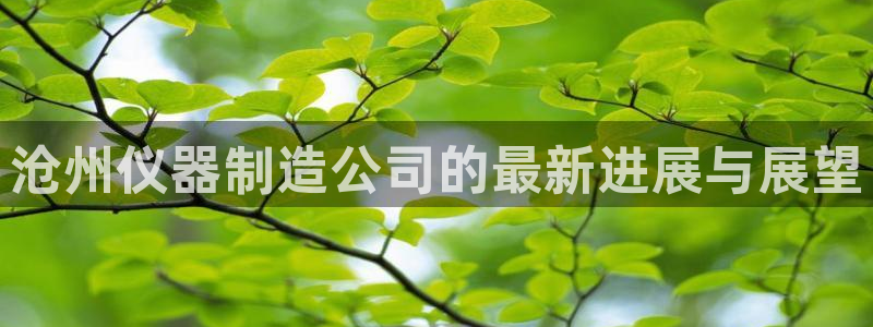 cq9电子专用平台：沧州仪器制造公司的最新进展与展望