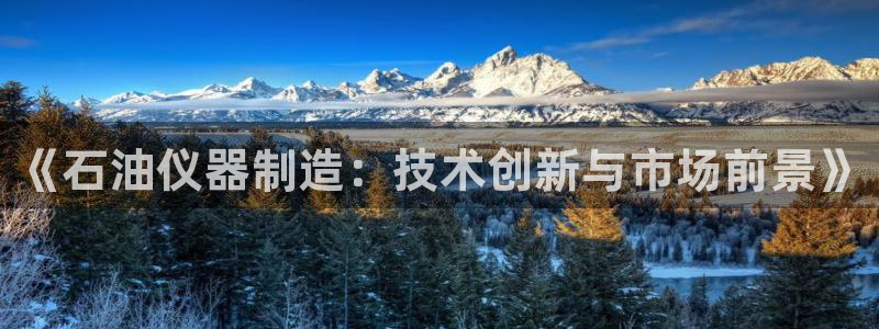 澳门cq9传奇电子：《石油仪器制造：技术创新与市场前景》