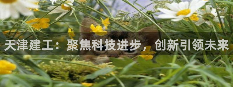 cq9电子哪个爆分：天津建工：聚焦科技进步，创新引领未来