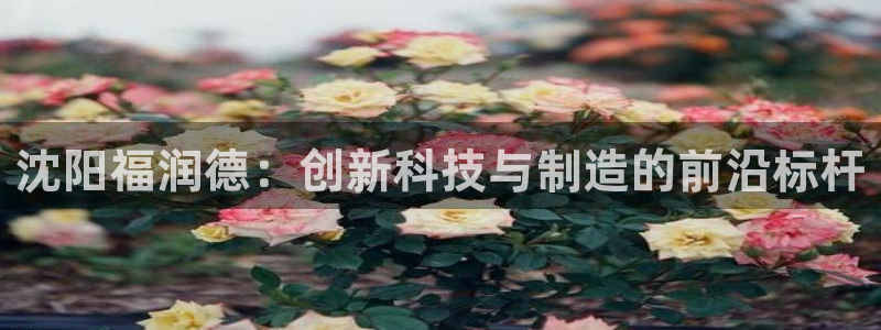 CQ9电子平台入c77：沈阳福润德：创新科技与制造的前沿标杆