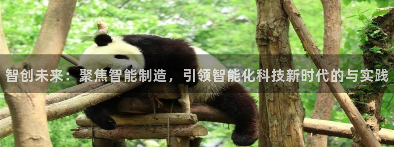 cq9电子传奇火凤凰：智创未来：聚焦智能制造，引领智能化科技