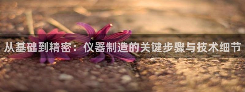 网赌cq9电子火神：从基础到精密：仪器制造的关键步骤与技术细