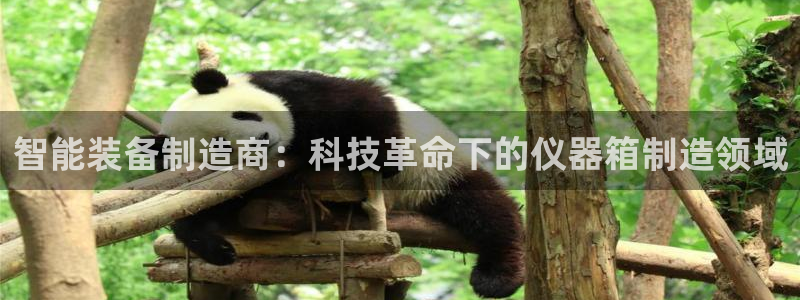 金沙电子cq9：智能装备制造商：科技革命下的仪器箱制造领域