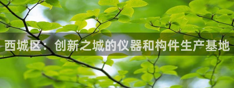 cq9电子狄仁杰：西城区：创新之城的仪器和构件生产基地
