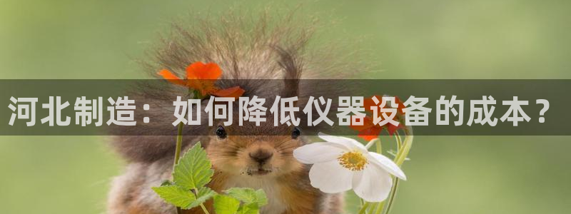 电子女王cq9：河北制造：如何降低仪器设备的成本？