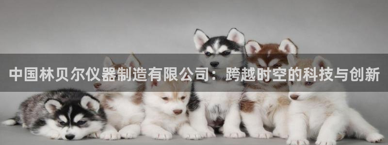 cq9 传奇电子活动：中国林贝尔仪器制造有限公司：跨越时空的