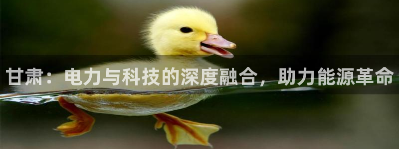 免费cq9电子游戏：甘肃：电力与科技的深度融合，助力能源革命