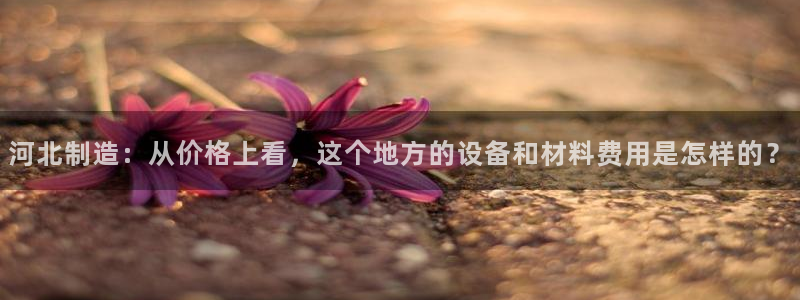 cq9电子大奖图片：河北制造：从价格上看，这个地方的设备和材