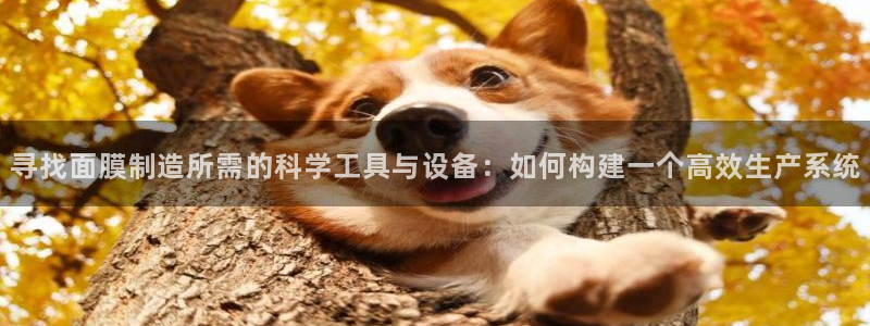 cq9电子宙斯赔付表：寻找面膜制造所需的科学工具与设备：如何