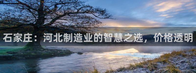 cq9电子777：石家庄：河北制造业的智慧之选，价格透明