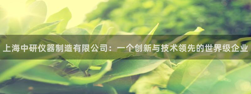 电子CQ9游戏网站：上海中研仪器制造有限公司：一个创新与技术