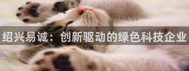 cq9 电子 跳高高2：绍兴易诚：创新驱动的绿色科技企业