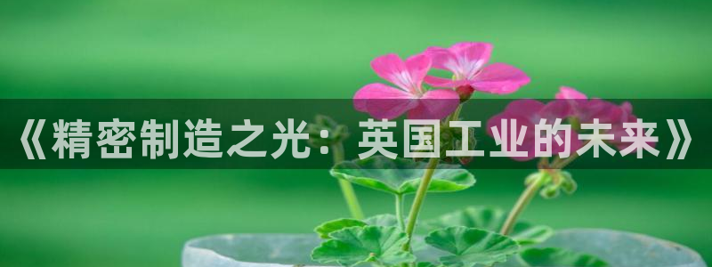 cq9新电子传奇：《精密制造之光：英国工业的未来》
