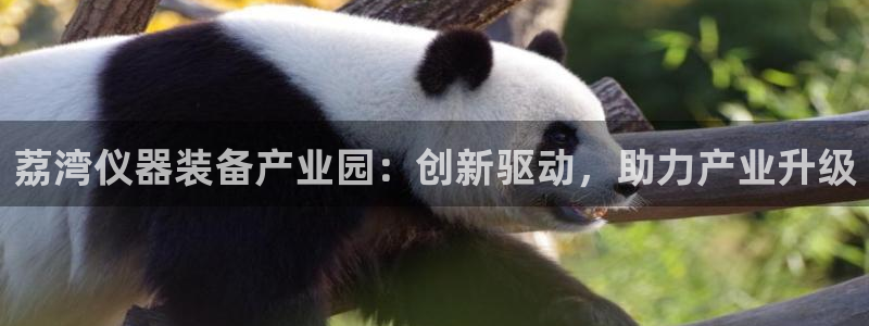 cq9电子体验版：荔湾仪器装备产业园：创新驱动，助力产业升级