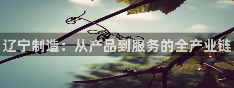 cq9电子评测