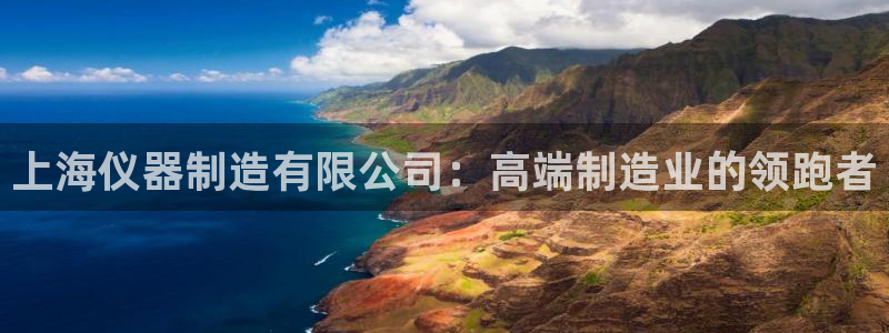 电子CQ9靠谱吗：上海仪器制造有限公司：高端制造业的领跑者