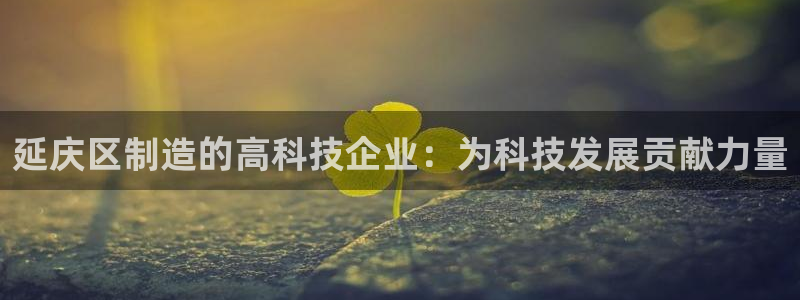 cq9传奇电子公司：延庆区制造的高科技企业：为科技发展贡献力