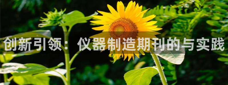 玩转cq9电子游艺：创新引领：仪器制造期刊的与实践