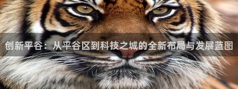 cq9电子怎么样：创新平谷：从平谷区到科技之城的全新布局与发