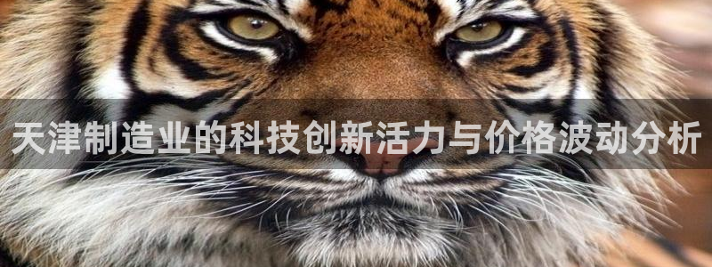 cq9电子怎样快速回本：天津制造业的科技创新活力与价格波动分