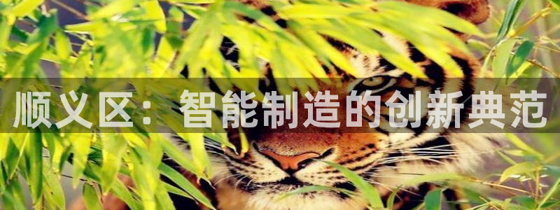 cq9电子爆发视频