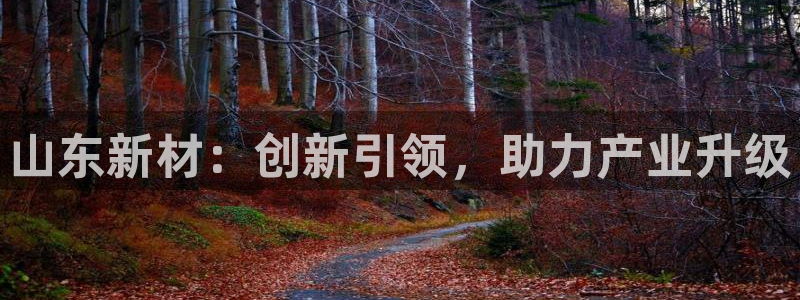 cq9网站电子