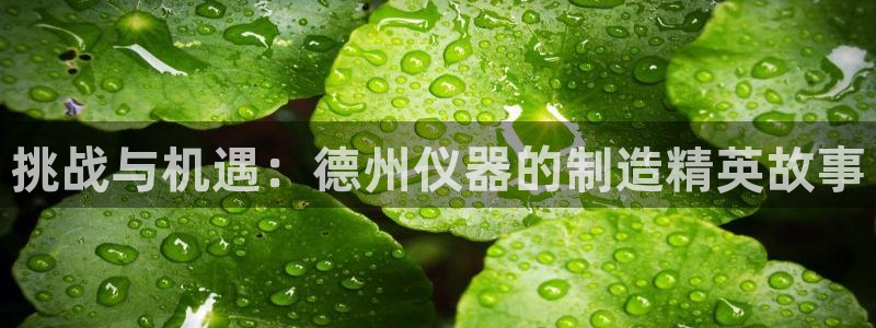 cq9 电子：挑战与机遇：德州仪器的制造精英故事