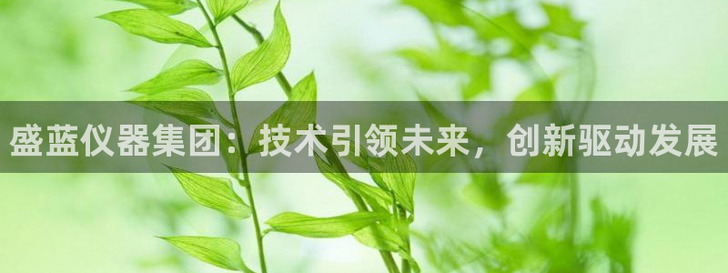 cq9电子平台：盛蓝仪器集团：技术引领未来，创新驱动发展