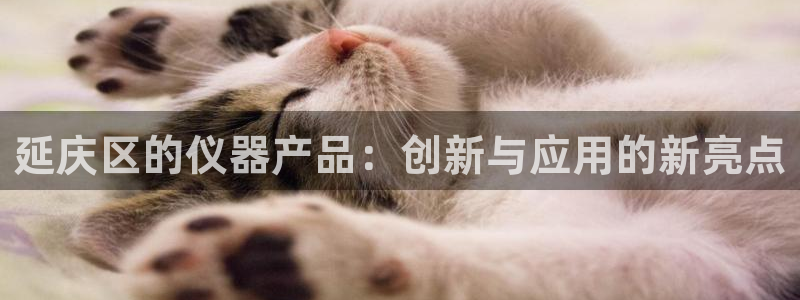 cq9飞鸟派对电子锤：延庆区的仪器产品：创新与应用的新亮点